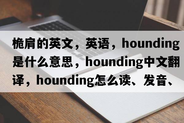 桅肩的英文，英語，hounding是什么意思，hounding中文翻譯，hounding怎么讀、發(fā)音、用法及例句