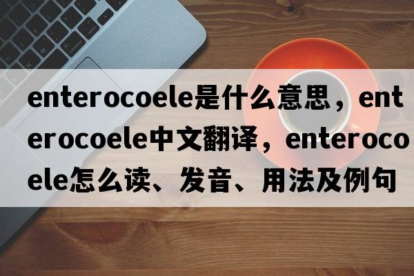 enterocoele是什么意思，enterocoele中文翻譯，enterocoele怎么讀、發(fā)音、用法及例句