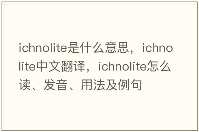 ichnolite是什么意思，ichnolite中文翻譯，ichnolite怎么讀、發(fā)音、用法及例句