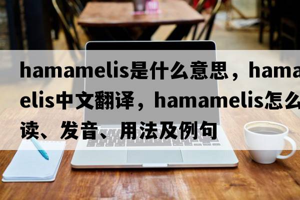 hamamelis是什么意思，hamamelis中文翻譯，hamamelis怎么讀、發(fā)音、用法及例句
