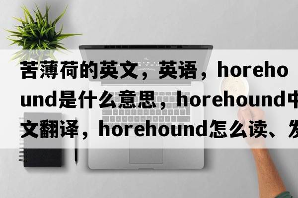 苦薄荷的英文，英語(yǔ)，horehound是什么意思，horehound中文翻譯，horehound怎么讀、發(fā)音、用法及例句