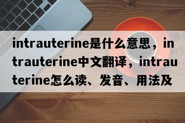 intrauterine是什么意思，intrauterine中文翻譯，intrauterine怎么讀、發(fā)音、用法及例句