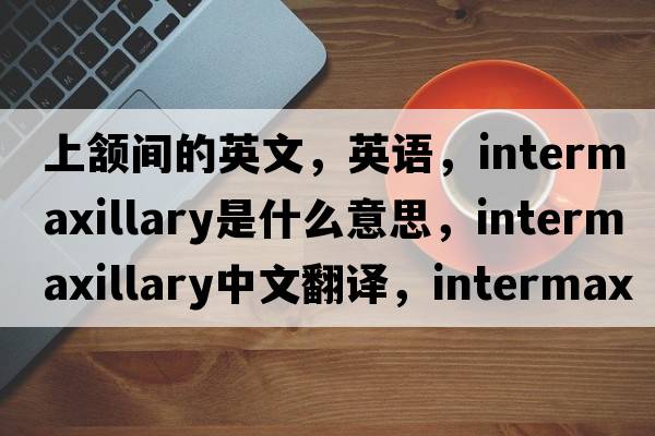 上頷間的英文，英語(yǔ)，intermaxillary是什么意思，intermaxillary中文翻譯，intermaxillary怎么讀、發(fā)音、用法及例句