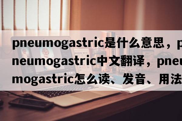 pneumogastric是什么意思，pneumogastric中文翻譯，pneumogastric怎么讀、發(fā)音、用法及例句