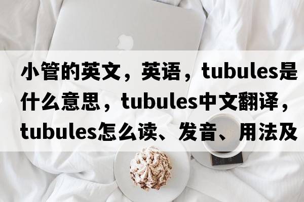 小管的英文，英語，Tubules是什么意思，Tubules中文翻譯，Tubules怎么讀、發(fā)音、用法及例句