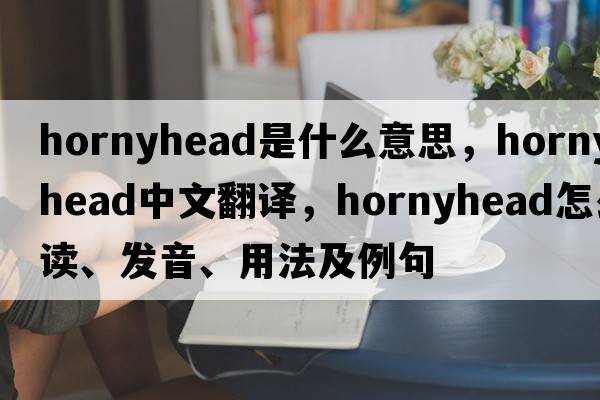 hornyhead是什么意思，hornyhead中文翻譯，hornyhead怎么讀、發(fā)音、用法及例句