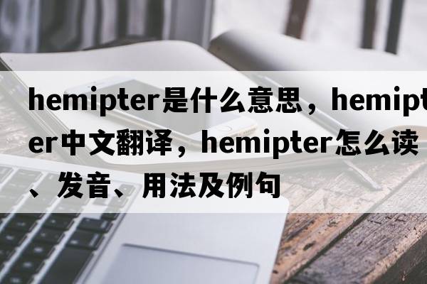 hemipter是什么意思，hemipter中文翻譯，hemipter怎么讀、發(fā)音、用法及例句