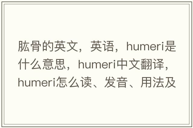 肱骨的英文，英語，humeri是什么意思，humeri中文翻譯，humeri怎么讀、發(fā)音、用法及例句