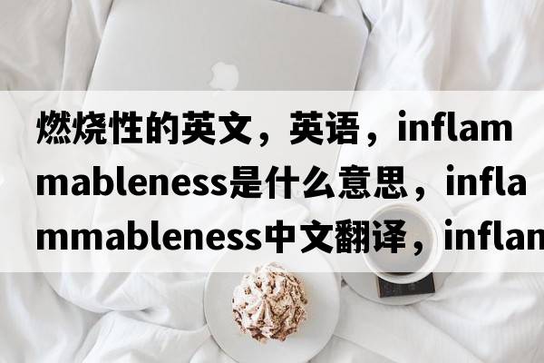 燃燒性的英文，英語，inflammableness是什么意思，inflammableness中文翻譯，inflammableness怎么讀、發(fā)音、用法及例句