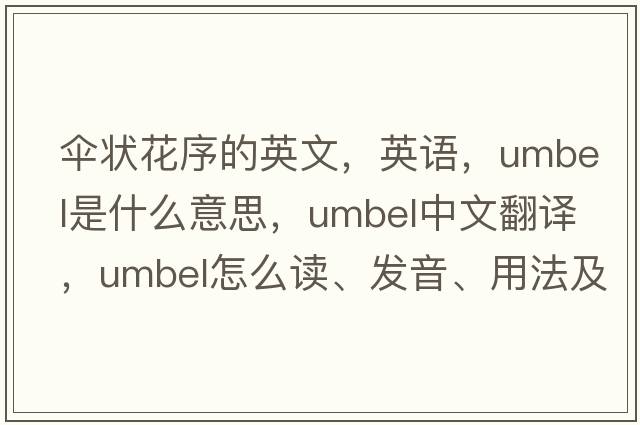 傘狀花序的英文，英語(yǔ)，umbel是什么意思，umbel中文翻譯，umbel怎么讀、發(fā)音、用法及例句