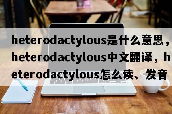 heterodactylous是什么意思，heterodactylous中文翻譯，heterodactylous怎么讀、發(fā)音、用法及例句