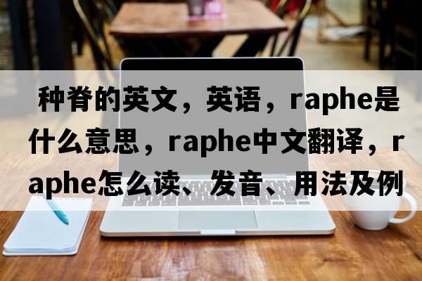  種脊的英文，英語，raphe是什么意思，raphe中文翻譯，raphe怎么讀、發(fā)音、用法及例句