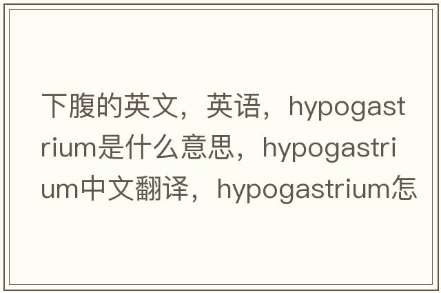 下腹的英文，英語，hypogastrium是什么意思，hypogastrium中文翻譯，hypogastrium怎么讀、發(fā)音、用法及例句
