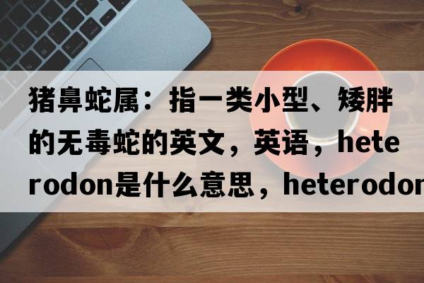 豬鼻蛇屬：指一類小型、矮胖的無毒蛇的英文，英語，Heterodon是什么意思，Heterodon中文翻譯，Heterodon怎么讀、發(fā)音、用法及例句