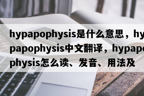 hypapophysis是什么意思，hypapophysis中文翻譯，hypapophysis怎么讀、發(fā)音、用法及例句