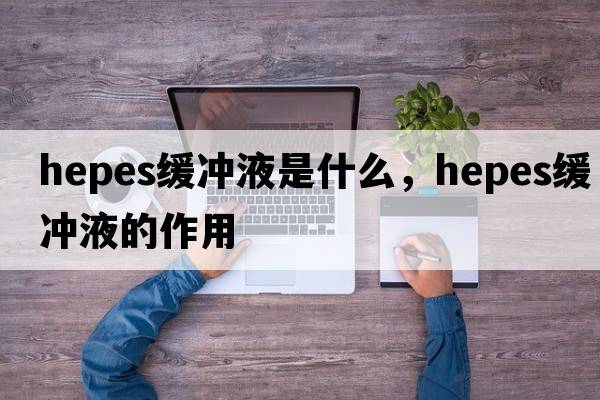 hepes緩沖液是什么，hepes緩沖液的作用