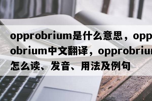 opprobrium是什么意思，opprobrium中文翻譯，opprobrium怎么讀、發(fā)音、用法及例句