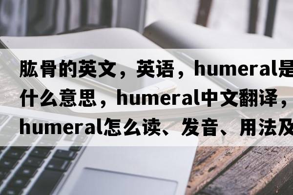 肱骨的英文，英語(yǔ)，humeral是什么意思，humeral中文翻譯，humeral怎么讀、發(fā)音、用法及例句