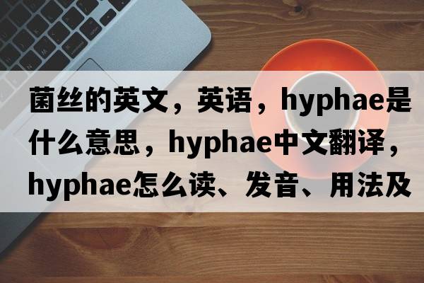 菌絲的英文，英語，hyphae是什么意思，hyphae中文翻譯，hyphae怎么讀、發(fā)音、用法及例句