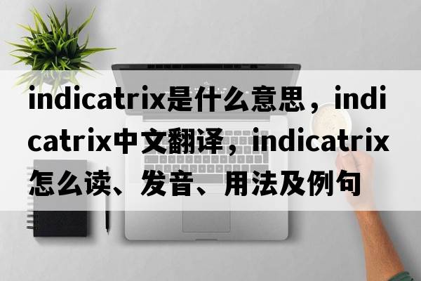 indicatrix是什么意思，indicatrix中文翻譯，indicatrix怎么讀、發(fā)音、用法及例句