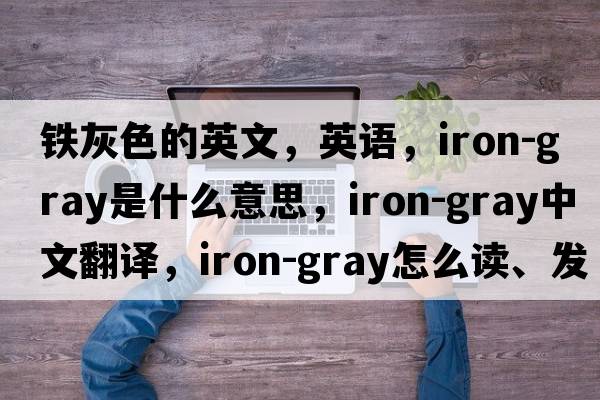 鐵灰色的英文，英語，iron-gray是什么意思，iron-gray中文翻譯，iron-gray怎么讀、發(fā)音、用法及例句