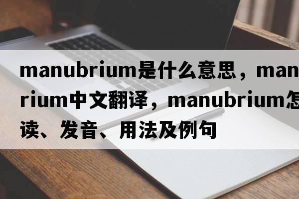 manubrium是什么意思，manubrium中文翻譯，manubrium怎么讀、發(fā)音、用法及例句