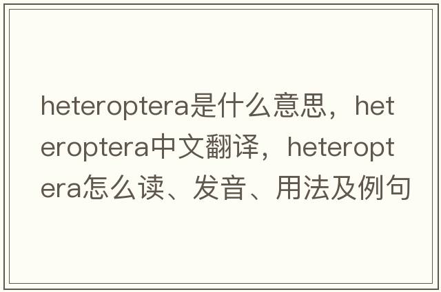 Heteroptera是什么意思，Heteroptera中文翻譯，Heteroptera怎么讀、發(fā)音、用法及例句