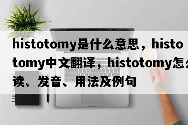 histotomy是什么意思，histotomy中文翻譯，histotomy怎么讀、發(fā)音、用法及例句