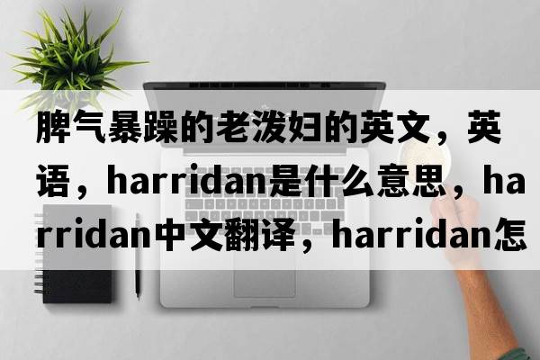 脾氣暴躁的老潑婦的英文，英語(yǔ)，harridan是什么意思，harridan中文翻譯，harridan怎么讀、發(fā)音、用法及例句