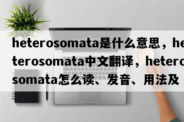 Heterosomata是什么意思，Heterosomata中文翻譯，Heterosomata怎么讀、發(fā)音、用法及例句