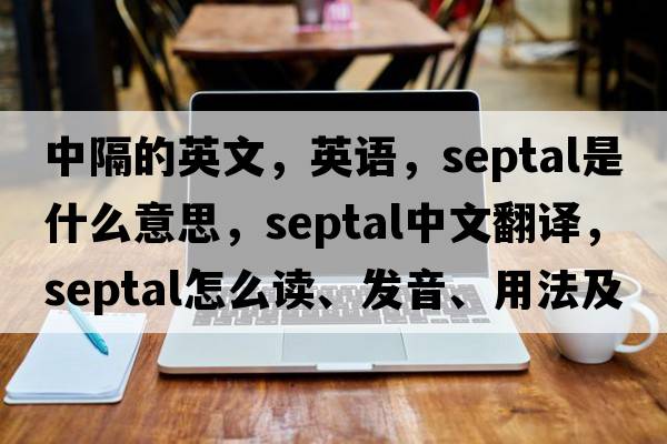 中隔的英文，英語，septal是什么意思，septal中文翻譯，septal怎么讀、發(fā)音、用法及例句