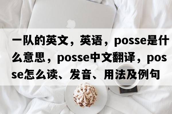 一隊(duì)的英文，英語，posse是什么意思，posse中文翻譯，posse怎么讀、發(fā)音、用法及例句