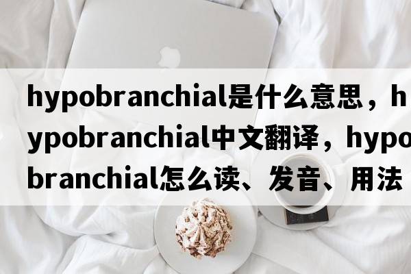 hypobranchial是什么意思，hypobranchial中文翻譯，hypobranchial怎么讀、發(fā)音、用法及例句