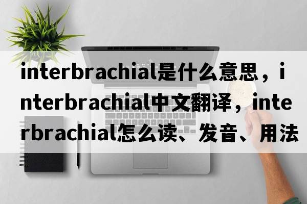 interbrachial是什么意思，interbrachial中文翻譯，interbrachial怎么讀、發(fā)音、用法及例句