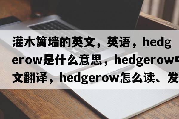 灌木籬墻的英文，英語(yǔ)，hedgerow是什么意思，hedgerow中文翻譯，hedgerow怎么讀、發(fā)音、用法及例句