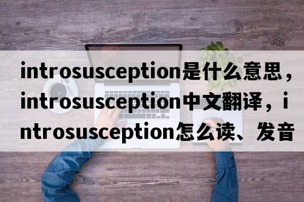 introsusception是什么意思，introsusception中文翻譯，introsusception怎么讀、發(fā)音、用法及例句