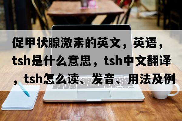 促甲狀腺激素的英文，英語，tsh是什么意思，tsh中文翻譯，tsh怎么讀、發(fā)音、用法及例句