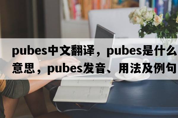 pubes中文翻譯，pubes是什么意思，pubes發(fā)音、用法及例句
