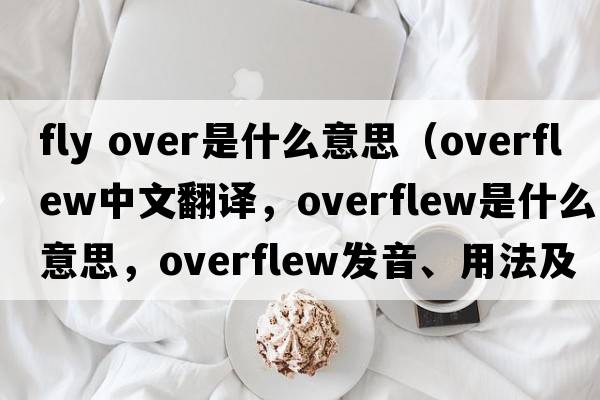 fly over是什么意思（overflew中文翻譯，overflew是什么意思，overflew發(fā)音、用法及例句）