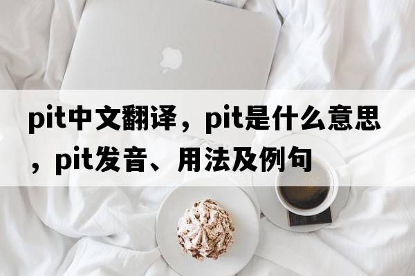 pit中文翻譯，pit是什么意思，pit發(fā)音、用法及例句