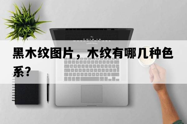 黑木紋圖片，木紋有哪幾種色系？