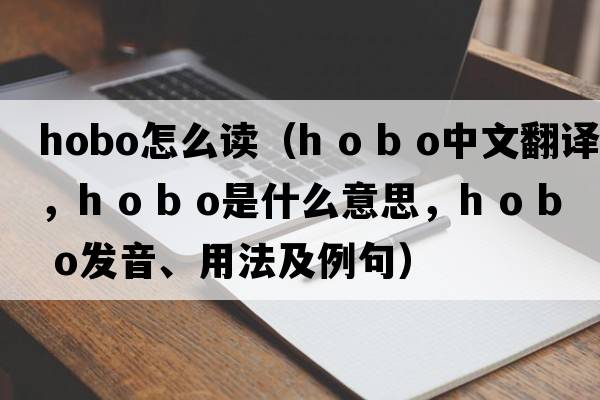 hobo怎么讀（h o b o中文翻譯，h o b o是什么意思，h o b o發(fā)音、用法及例句）