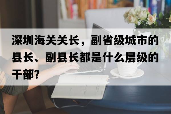 深圳海關關長，副省級城市的縣長、副縣長都是什么層級的干部？