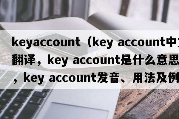 keyaccount（key account中文翻譯，key account是什么意思，key account發(fā)音、用法及例句）