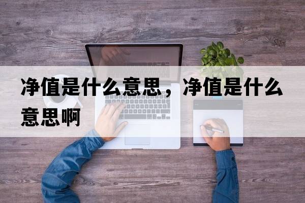 凈值是什么意思，凈值是什么意思啊
