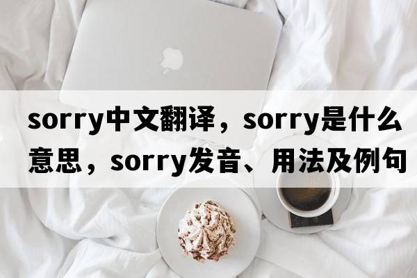sorry中文翻譯，sorry是什么意思，sorry發(fā)音、用法及例句