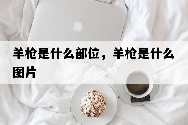 羊槍是什么部位，羊槍是什么圖片