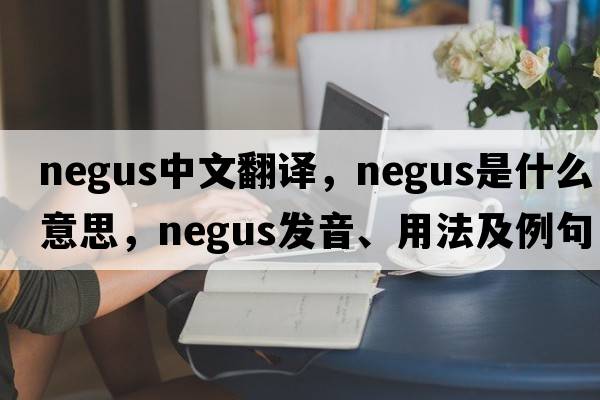 negus中文翻譯，negus是什么意思，negus發(fā)音、用法及例句