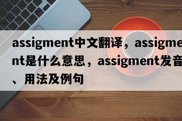 assigment中文翻譯，assigment是什么意思，assigment發(fā)音、用法及例句