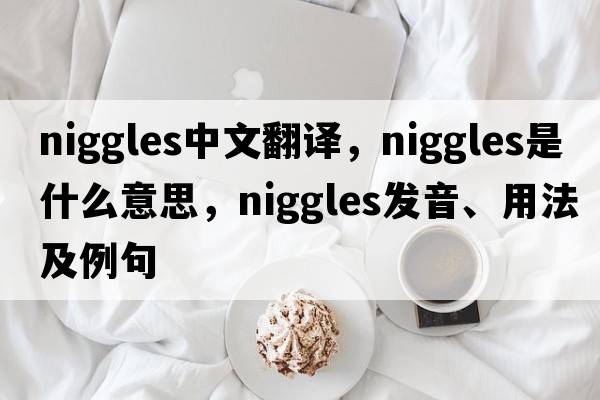 niggles中文翻譯，niggles是什么意思，niggles發(fā)音、用法及例句